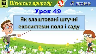 Урок 49. Як влаштовані штучні екосистеми поля і саду