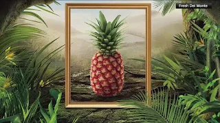 Pricey pineapple sells for $400