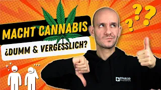 Cannabis macht dumm und vergesslich? Vor- und Nachteile von Cannabis