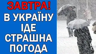 ПОГОДА НА ЗАВТРА : ПОГОДА 24 ГРУДНЯ