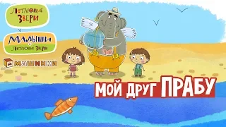 Летающие звери - Мой друг Прабу | Серии Летающих зверей, Малышей и Машинок 13+