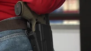 Florida Democrats take issue with permitless carry 'public safety package'