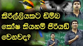 කිරිල්ලියකට ඩිම්බ කෝෂ තියනම් පීරියඩ් වෙනවද ? | Dinesh Muthugala | Episode 17