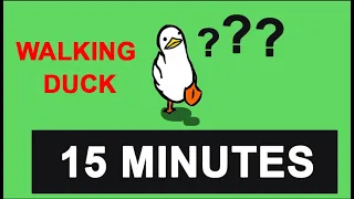 Duck Goes For A Walk 15 Minutes - Countdown Timer 15 minutes  - walking duck - đồng hồ đếm ngược