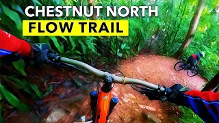 Chestnut North MTB Flow Trail