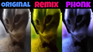 Chipi Chipi Chapa Chapa Original vs Phonk vs Remix