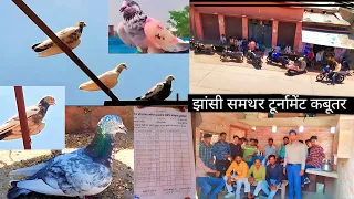 11 kabootar wala tournament || jila jhansi tournament || 11 कबूतर वाला टूर्नामेंट fast price ₹21 hjr