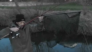 RIVER DEARNE BARNSLEY A BRACE OF CHUB - VIDEO 25