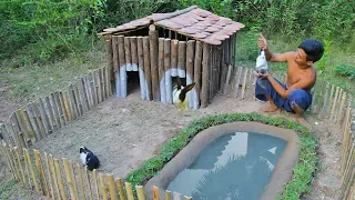 Rescue Wild Rabbit To Build Amazing Wooden House And Mini Swimming Pool For Them