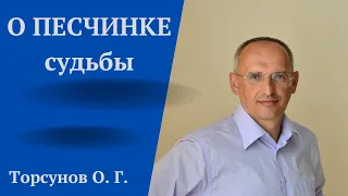 О ПЕСЧИНКЕ судьбы. Торсунов лекции