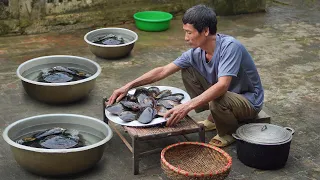 Process harvesting mussels, Cooking traditional dishes, Peaceful life in the countryside, Farm life