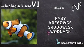 Biologia klasa 6 [Lekcja 13 - Ryby - kręgowce środowisk wodnych]