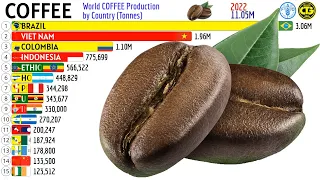 The Largest COFFEE Producers in the World