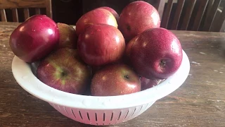 Making Moonshine Using Apples Instead of Corn