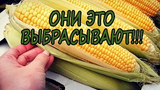 Забрала весь МУСОР у продавца КУКУРУЗЫ и вот что сделала / Природный материал для творчества ТАЛАШ