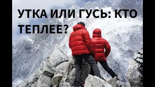 Почему пуховик не греет? Утиный пух против гусиного: что теплее, легче и пухлее?