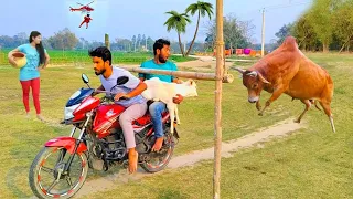 must watch new funny comedy video 2023🤩amazing funny video 2024😇Episode 43 by comedy dhamaka pk
