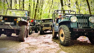 Willys Jeeps and friends at AAOA off road park 2021