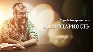 "Благодарность". Раввин Дов-Бер Байтман