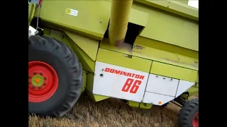 Żniwa pszenicy i gorczycy/akcja słomka 2016/Claas 4x/New Holland/ Ursus/MacChale/MacCormick