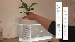 샤오미 스마트 수조 #2 | 스파티필름 | 수경재배 | 아쿠아포닉스 [vlog] | Xiaomi Geometry Fish Tank | Aquaponics | peace lily