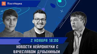 Новости нейронауки #1 с Вячеславом Дубыниным / Рубка ПостНауки