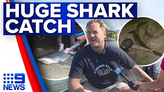 Two locals reel in mammoth bull shark from Gold Coast lake | 9 News Australia