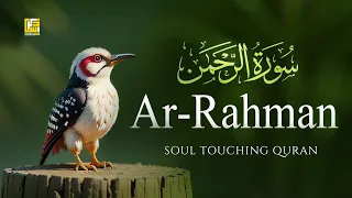 Surah Rahman سُوْرَۃ الرَّحْمَٰن | This VOICE will MELT your HEART إن شاء الله | Zikrullah TV