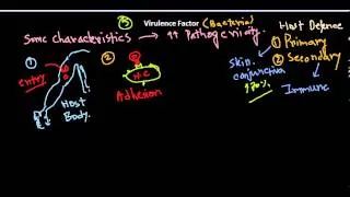 Virulence factors of bacteria