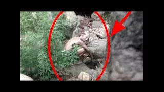 5 Mysterious Goblins Caught on Camera | 5 Mythical Creatures Caught On Camera