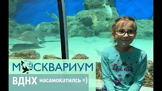 Куда сходить в Москве? Москвариум ВДНХ ❤ VLOG Электросамокат. Как взять самокат.