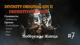 Прохождение Divinity: Original Sin II[DE]. Доблесть. Разбойник, Воин, Маг, Маг. #7