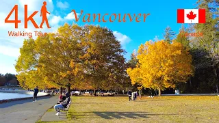 Autumn Walk in Stanley Park, Downtown Vancouver, Canada, Walking Tour 4K UHD Virtual Tour