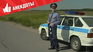 Анекдоты - Выпуск 168