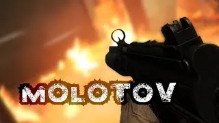 Insurgency - Molotov