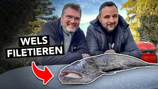 Wels grätenfrei filetieren 🔪 Einfache Anleitung vom Profi (mit @Klausgrillt)