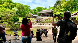 SEOUL KOREA 🍀 "The Secret Garden" full of Changdeokgung Palace green 🍀