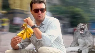 Feeding Monkeys at Batu Caves Kuala Lumpur