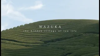 WAZUKA - the hidden village of tea life - / Short ver.
