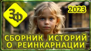 103 Сборник историй о реинкарнации