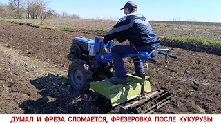 ДУМАЛ И ФРЕЗА СЛОМАЕТСЯ, ФРЕЗЕРОВКА ОГОРОДА ПОСЛЕ КУКУРУЗЫ / MILLING AFTER CORN WITH A MINITRACTOR