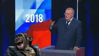 ДЕБАТЫ 2018 [RYTP]