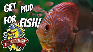 Can You Make Money From Your Fish?