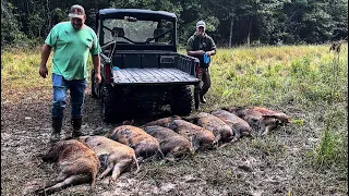 Caught 20 wild hogs with an abandoned trap.