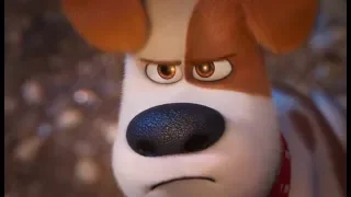 Final Scene - The Secret Life Of Pets 2 (2019)