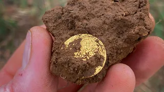 My first ever gold hammered coin! 🤩 Detectival Day 2