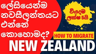 නවසීලන්තයට එන්නේ කොහොමද | How to migrate New Zealand easily | New Zealand Sinhala
