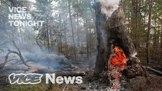 Russia's Fires Are So Out of Control They're Melting Polar Ice Caps