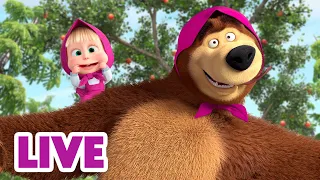 🔴 LIVE 🐻👧 Masha y el Oso 2024 🤭🤪 Juego de locos 🎬 Masha and the Bear