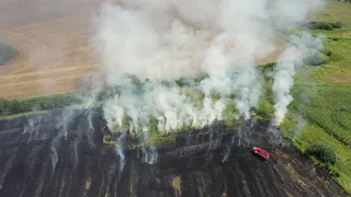Пожежа в полях недалеко від Броварів